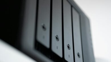 digital platform backup management