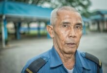 professional digital security services